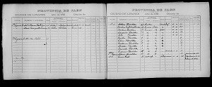CopyrightImage-1896-97-Census-Children-Of-ArthurHaselden-And-CarolinaEnglish